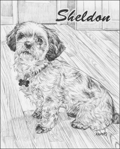 sheldon_02s